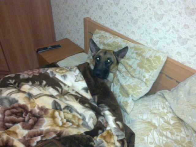 Acid Picdump (93 pics)