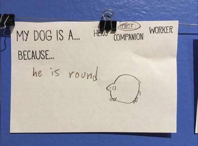 Acid Picdump (93 pics)