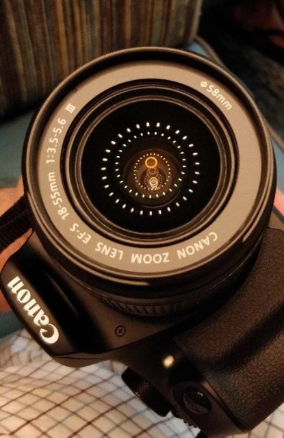 It's Perfect (60 pics)