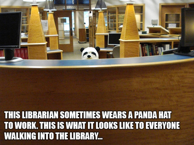 Libraries Can Be Funny Too (20 pics)