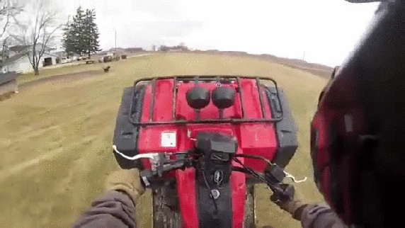 Acid Gifdump, January 28 (25 gifs)