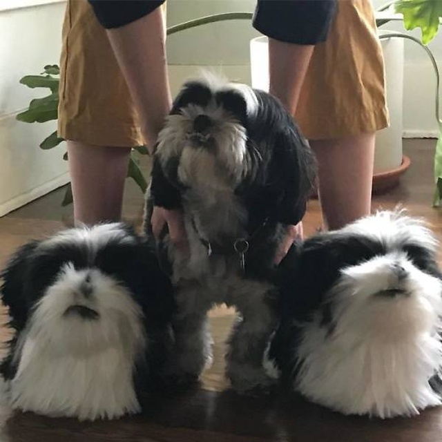 They Make The Exact Copies Of Your Pets (17 pics)