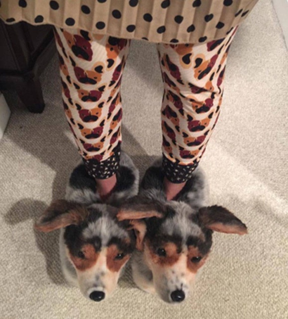 They Make The Exact Copies Of Your Pets (17 pics)