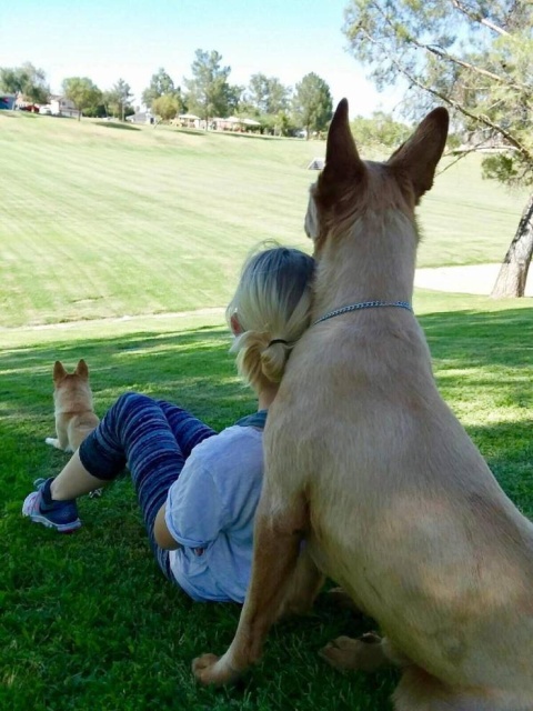 When A Picture Says More Than Just A Thousand Words (44 pics)