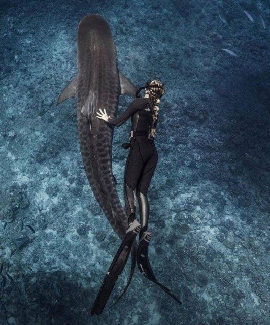 When A Picture Says More Than Just A Thousand Words (44 pics)