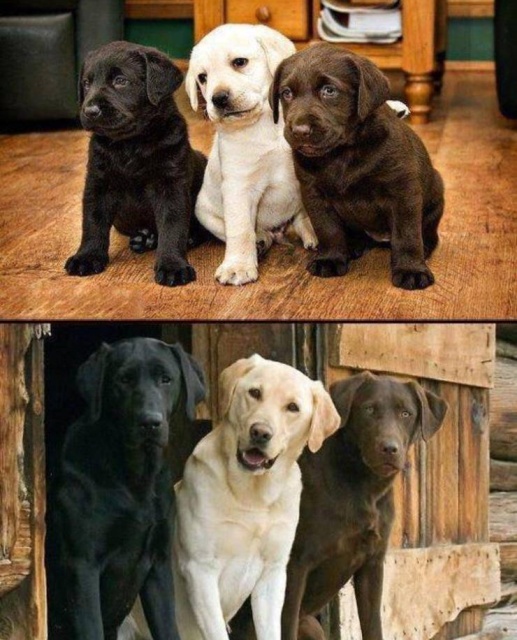 When A Picture Says More Than Just A Thousand Words (44 pics)