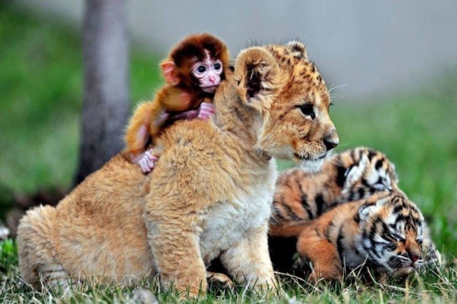 When A Picture Says More Than Just A Thousand Words (44 pics)