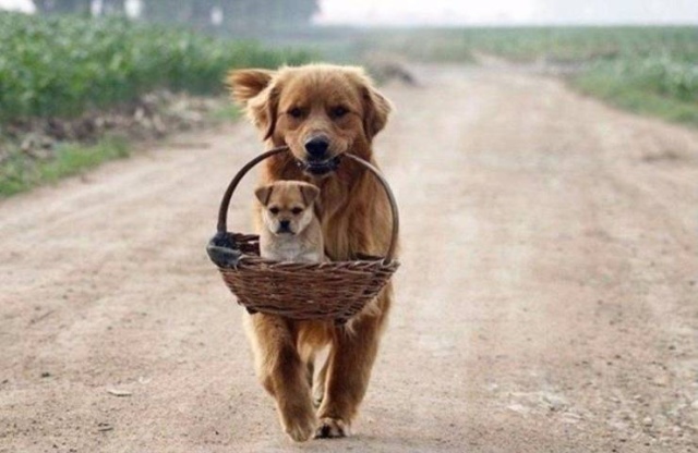 When A Picture Says More Than Just A Thousand Words (44 pics)