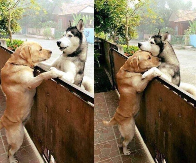 When A Picture Says More Than Just A Thousand Words (44 pics)