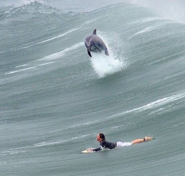 When A Picture Says More Than Just A Thousand Words (44 pics)
