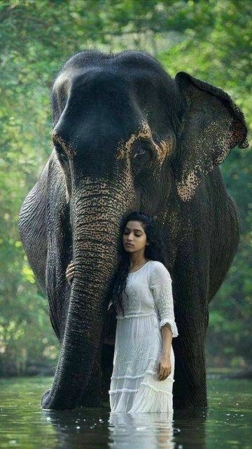 When A Picture Says More Than Just A Thousand Words (44 pics)