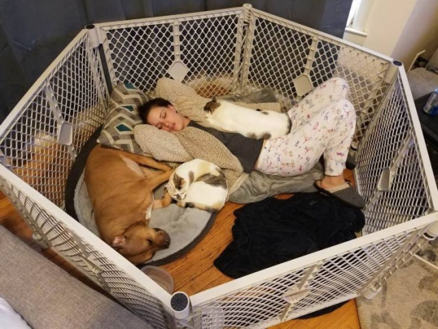 When A Picture Says More Than Just A Thousand Words (44 pics)