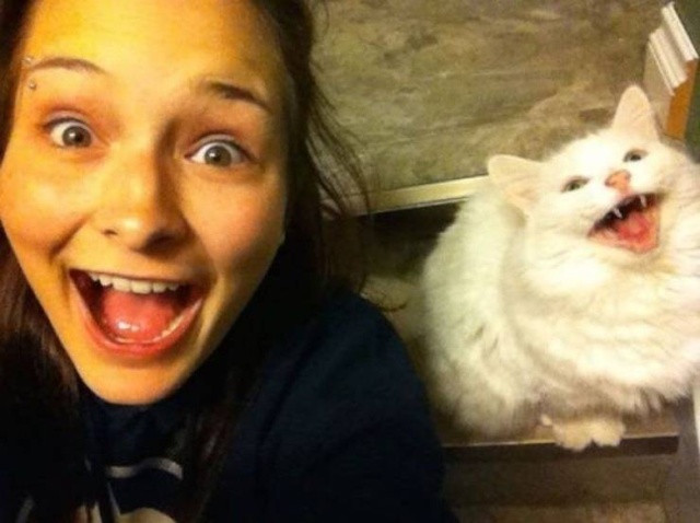 Funny And Cute Animals (57 pics)