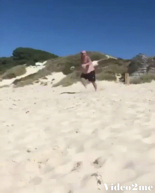 Acid Gifdump, January 29 (25 gifs)