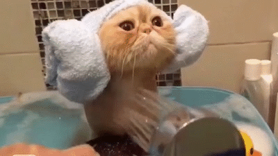 Acid Gifdump, January 30 (25 gifs)