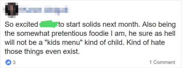 Pretentious Foodie Mom Vs Kids’ Menu Vs The Internet (23 pics)