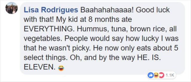 Pretentious Foodie Mom Vs Kids’ Menu Vs The Internet (23 pics)