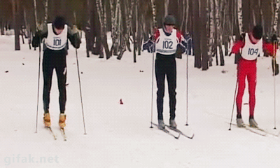 Mountain Fails (17 gifs)
