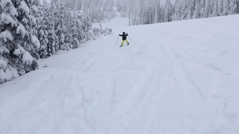 Mountain Fails (17 gifs)