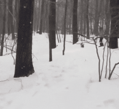 Mountain Fails (17 gifs)