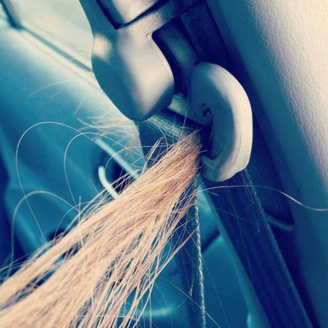 Sh*t Happens (38 pics)