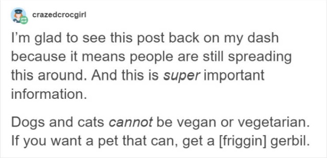 Dogs Are Not Vegans (11 pics)