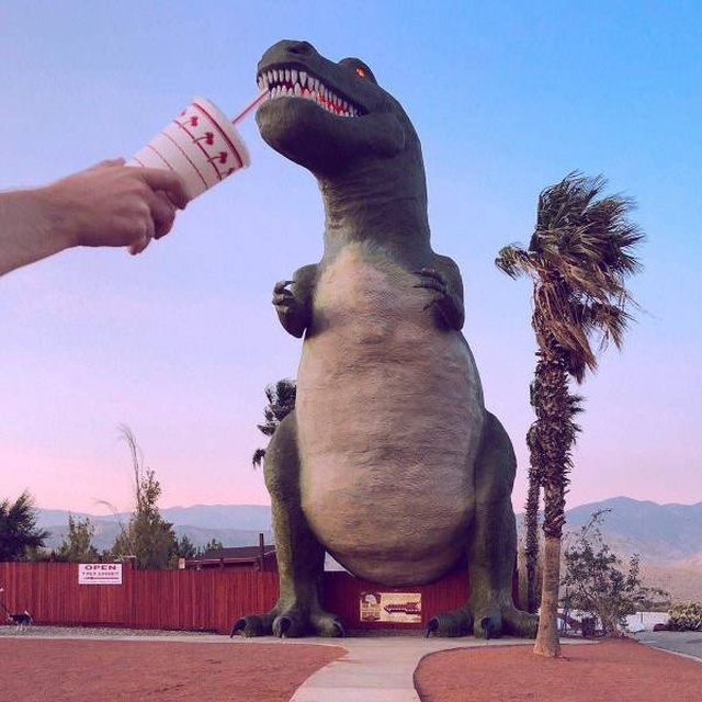 Acid Picdump (90 pics)