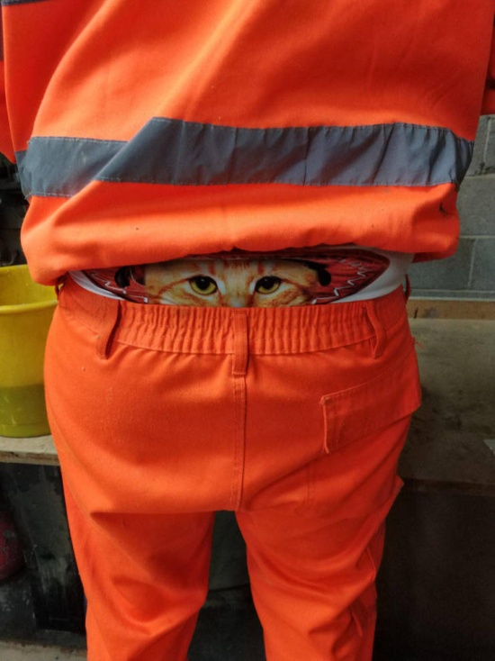 Acid Picdump (90 pics)