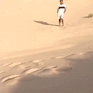 Dad Reflexes (14 gifs)