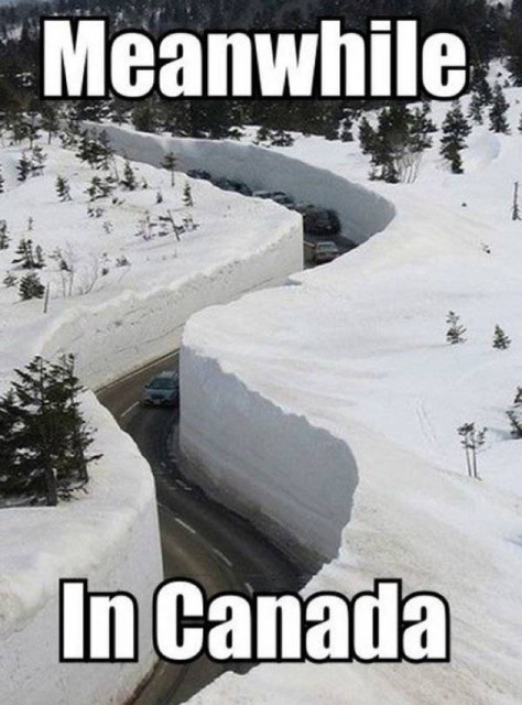 Snow Day Memes (29 pics)