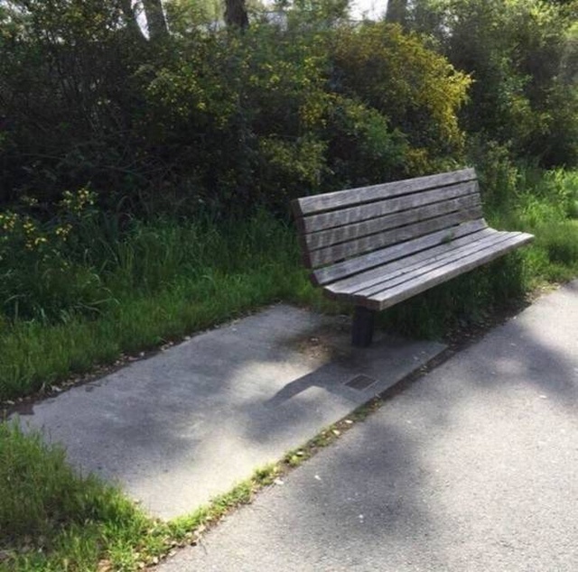 They Failed (53 pics)