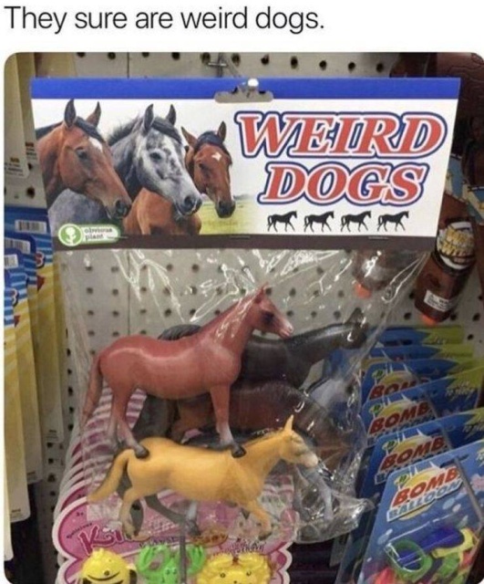 They Failed (53 pics)