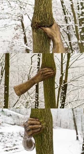 Trees Swallowing Stuff (36 pics)