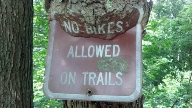 Trees Swallowing Stuff (36 pics)