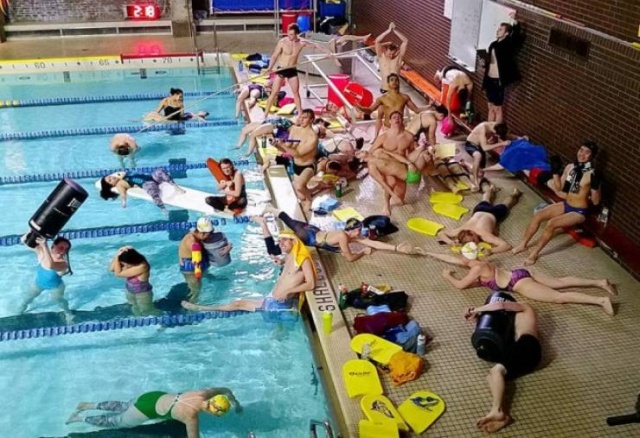 WTF Photos (64 pics)