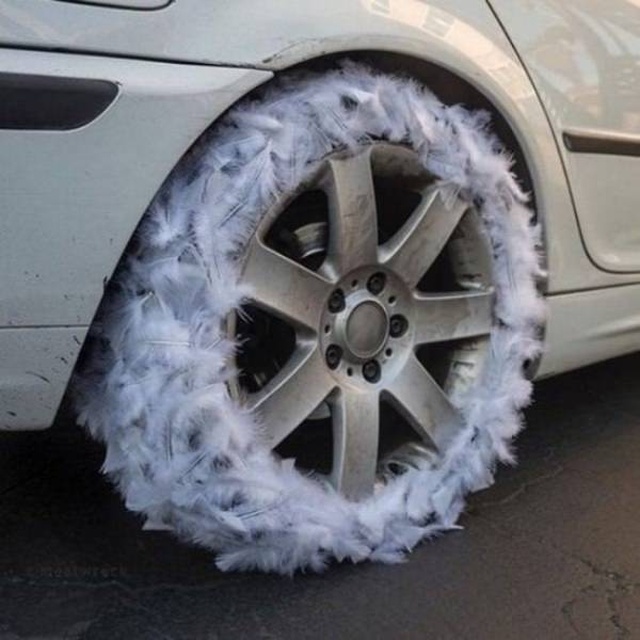 WTF Photos (64 pics)