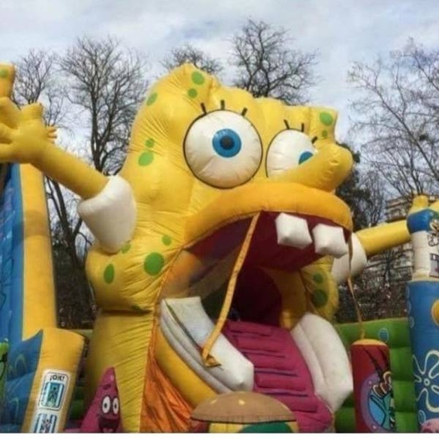 WTF Photos (64 pics)