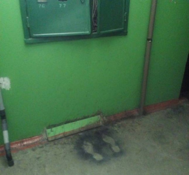 WTF Photos (64 pics)