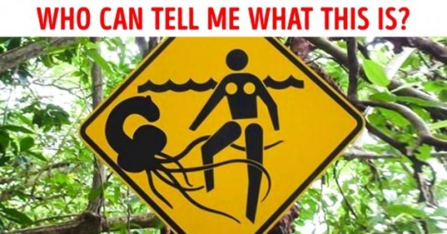 WTF Photos (64 pics)
