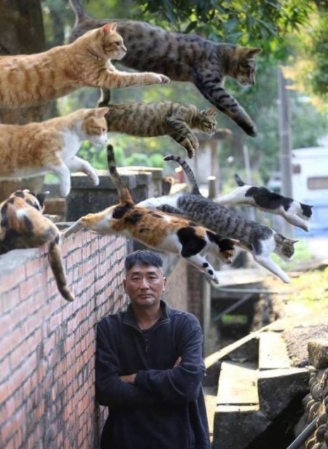 WTF Photos (64 pics)