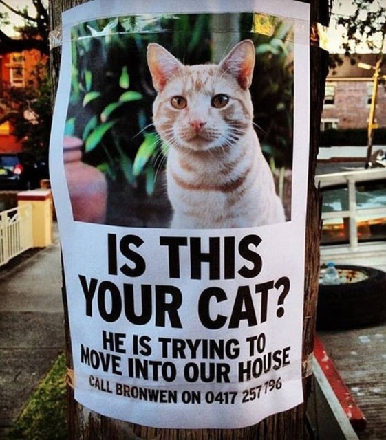 WTF Photos (64 pics)