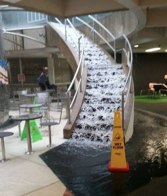 WTF Photos (64 pics)
