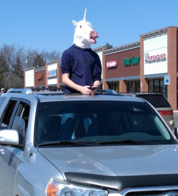 WTF Photos (64 pics)