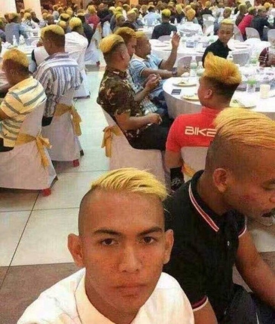 WTF Photos (64 pics)