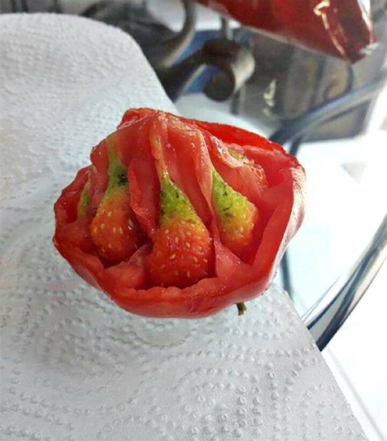 WTF Photos (64 pics)