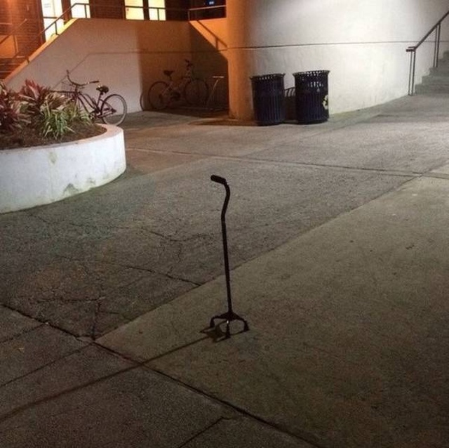 WTF Photos (64 pics)
