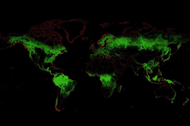 Forests Of The World (25 pics)