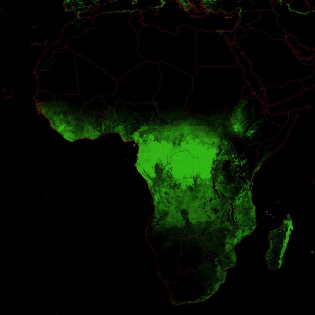 Forests Of The World (25 pics) Forests Of The World (25 pics)