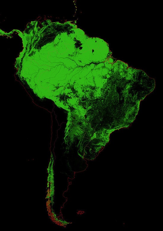 Forests Of The World (25 pics) Forests Of The World (25 pics)
