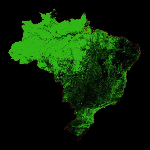 Forests Of The World (25 pics) Forests Of The World (25 pics)